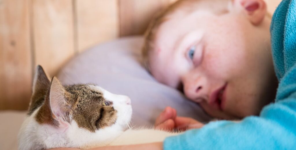 NIño acompañado de su gato.