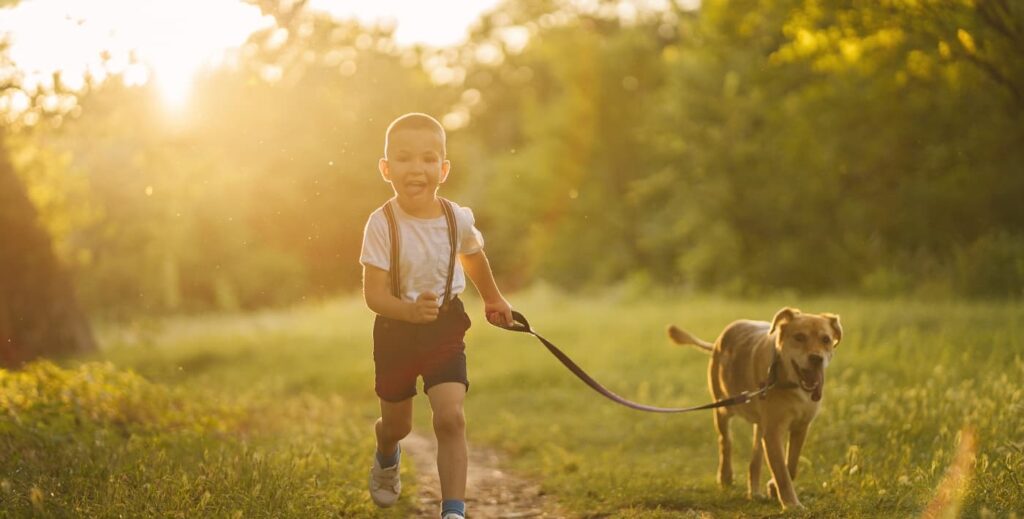 Niño paseando con su perro.