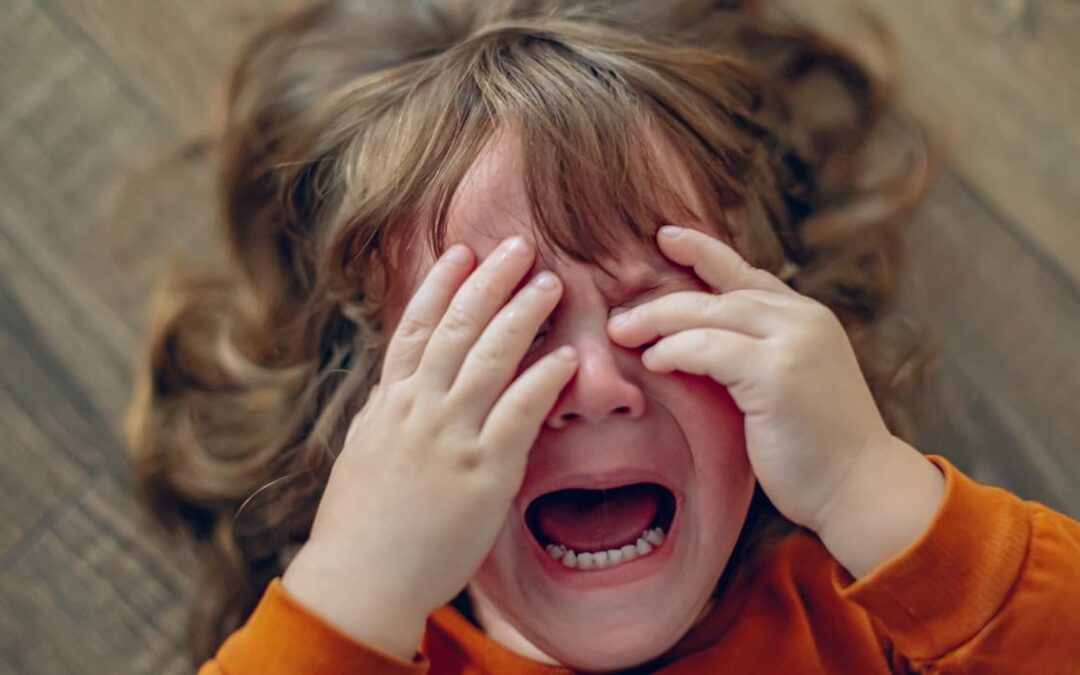 Niña pequeña en un berrinche, sentada en el suelo con lágrimas en su rostro, simbolizando la frustración típica de los dos años.